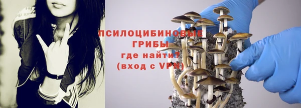 прущие крисы Володарск