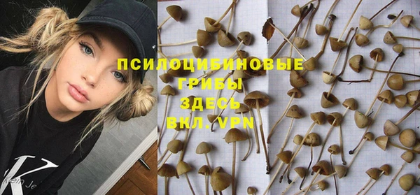 дурь Богородск