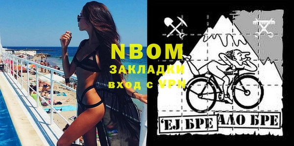 Альфа ПВП Верея