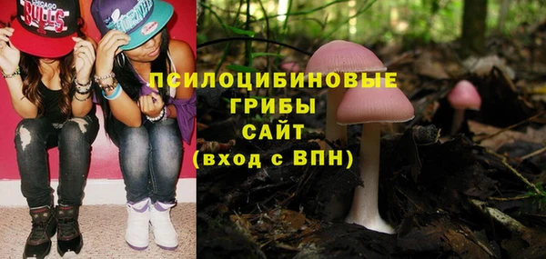 прущая мука Богородицк