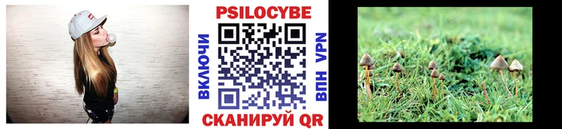Галлюциногенные грибы Psilocybe  хочу наркоту  площадка телеграм  Сретенск  мега маркетплейс 