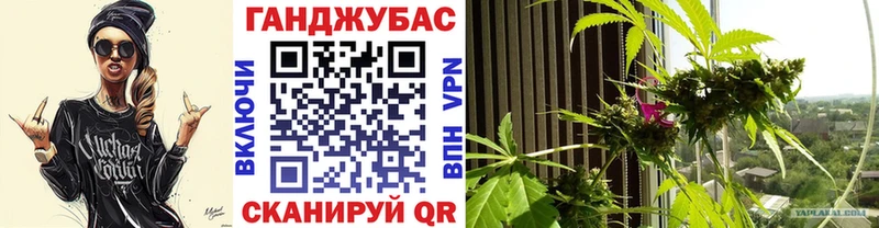 Бошки марихуана Bruce Banner  kraken как зайти  Сретенск 